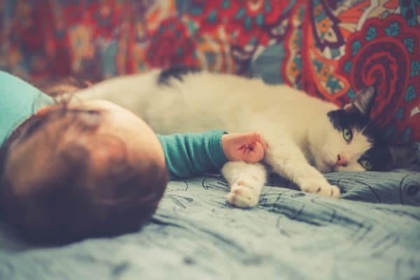 Chat et bébé : quelques règles pour leur sécurité